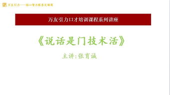 巧言有道 技术咨询中的沟通艺术